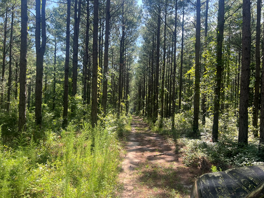 474 County Road 2270