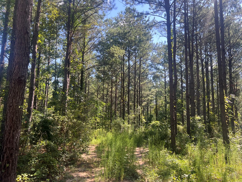474 County Road 2270