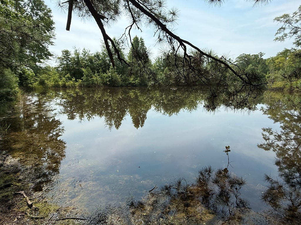 1545 County Road 8