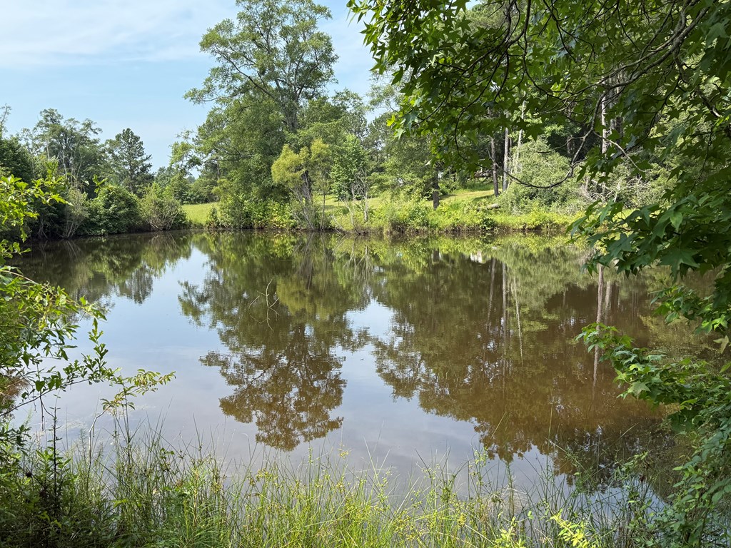 1545 County Road 8