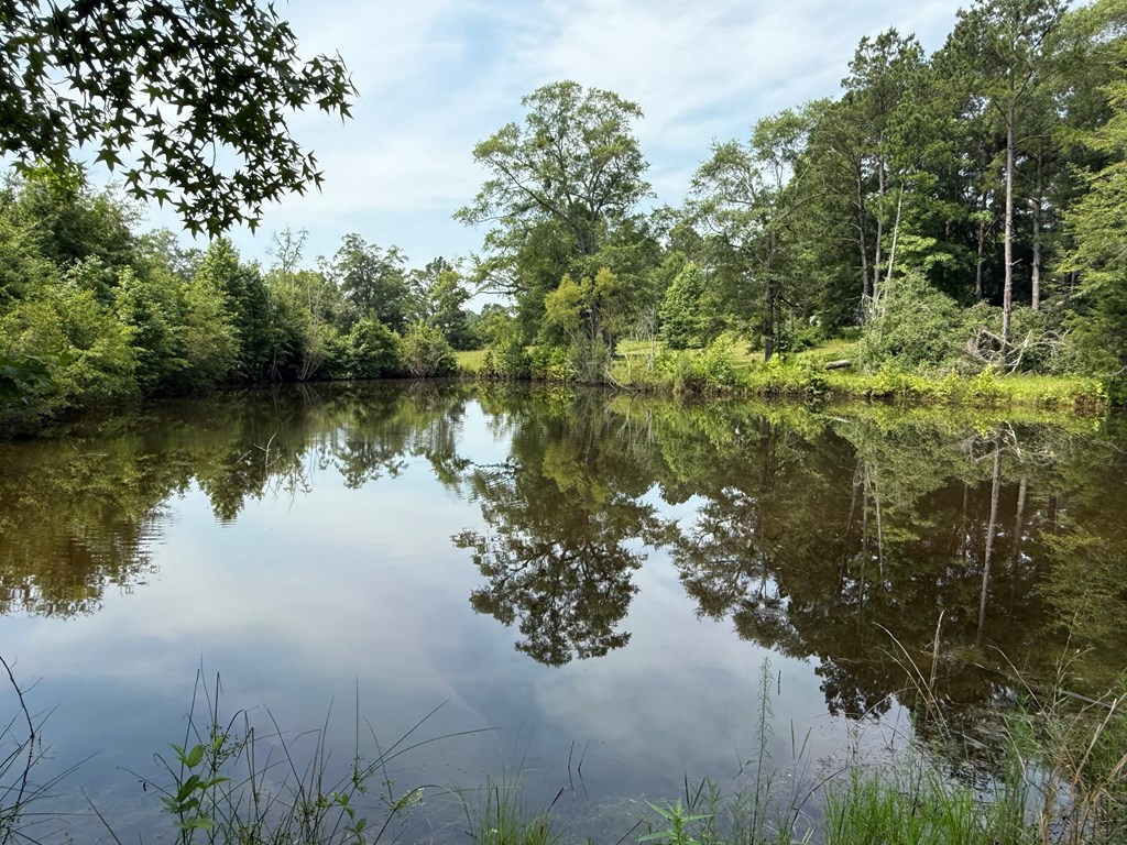 1545 County Road 8