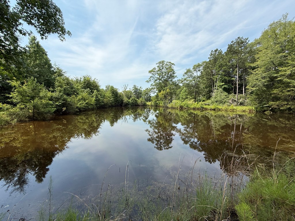1545 County Road 8