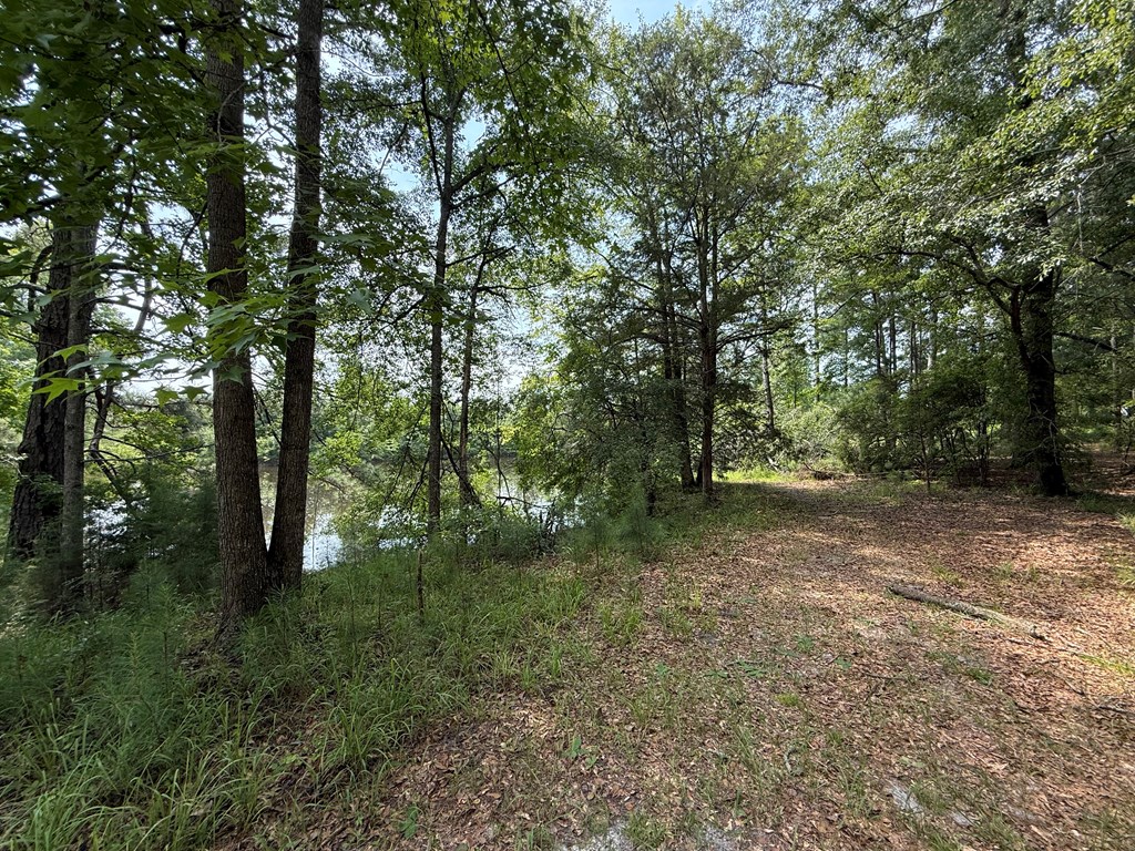 1545 County Road 8