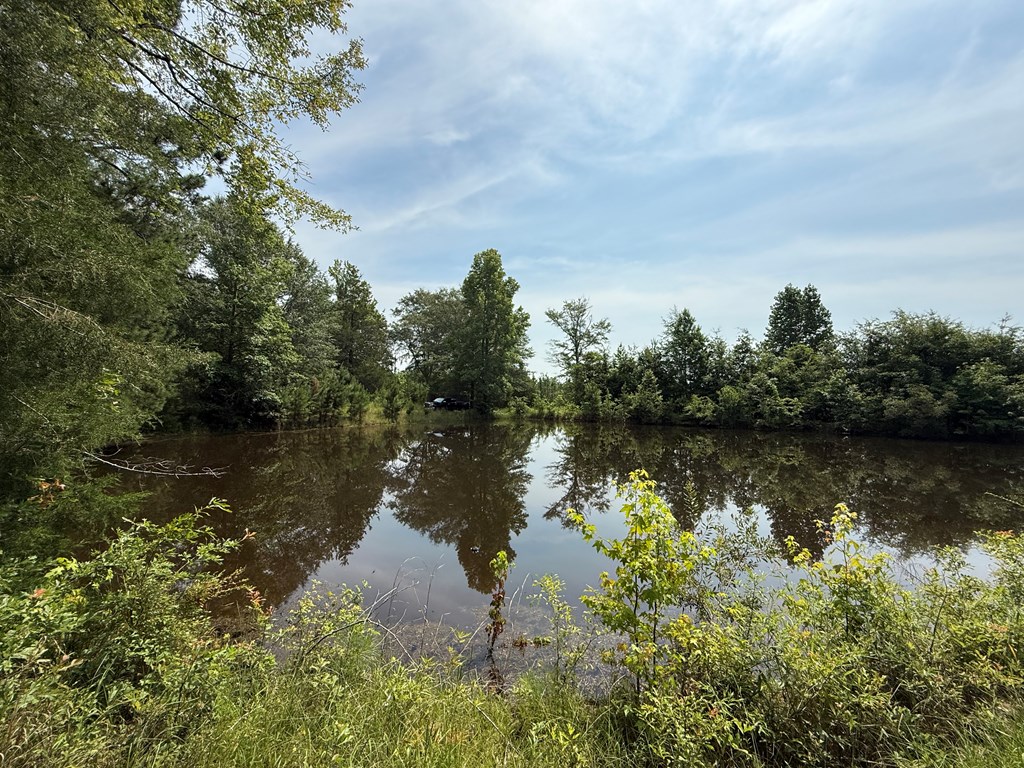 1545 County Road 8
