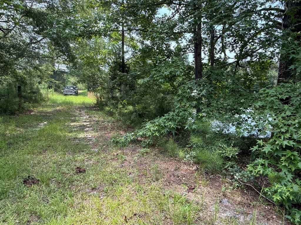 1545 County Road 8