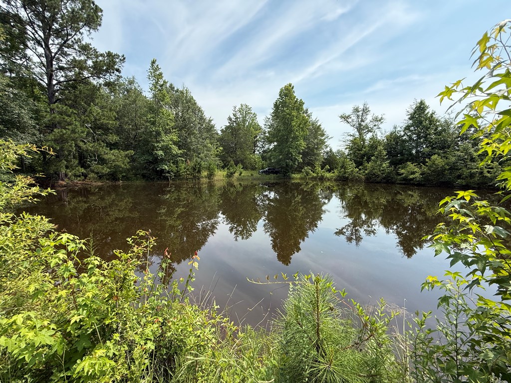 1545 County Road 8