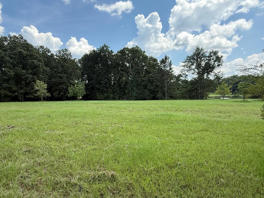 26200 Troy Highway