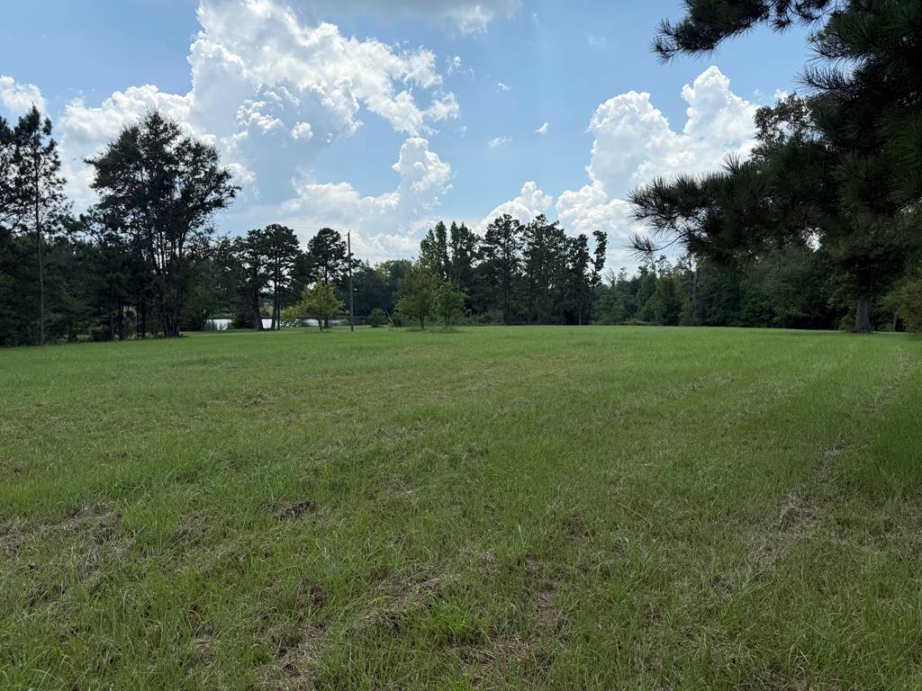 26200 Troy Highway