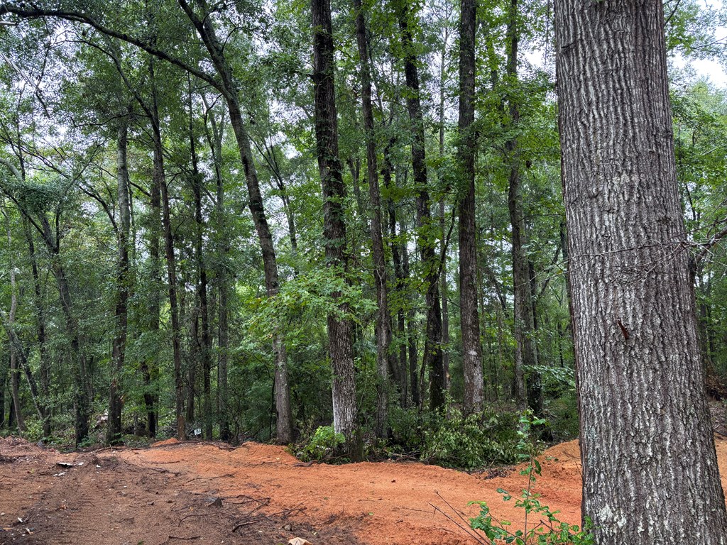 1493 County Road 6600