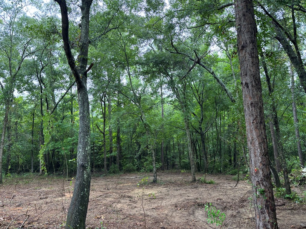 1493 County Road 6600