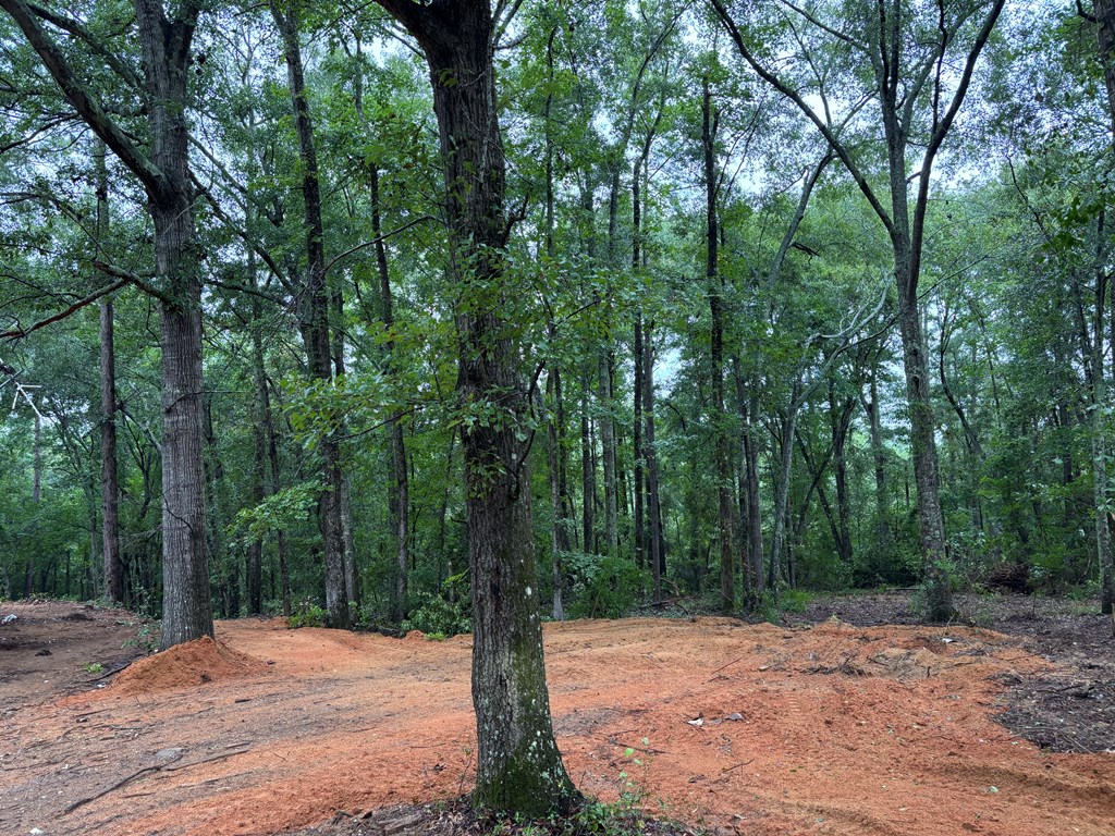 1493 County Road 6600