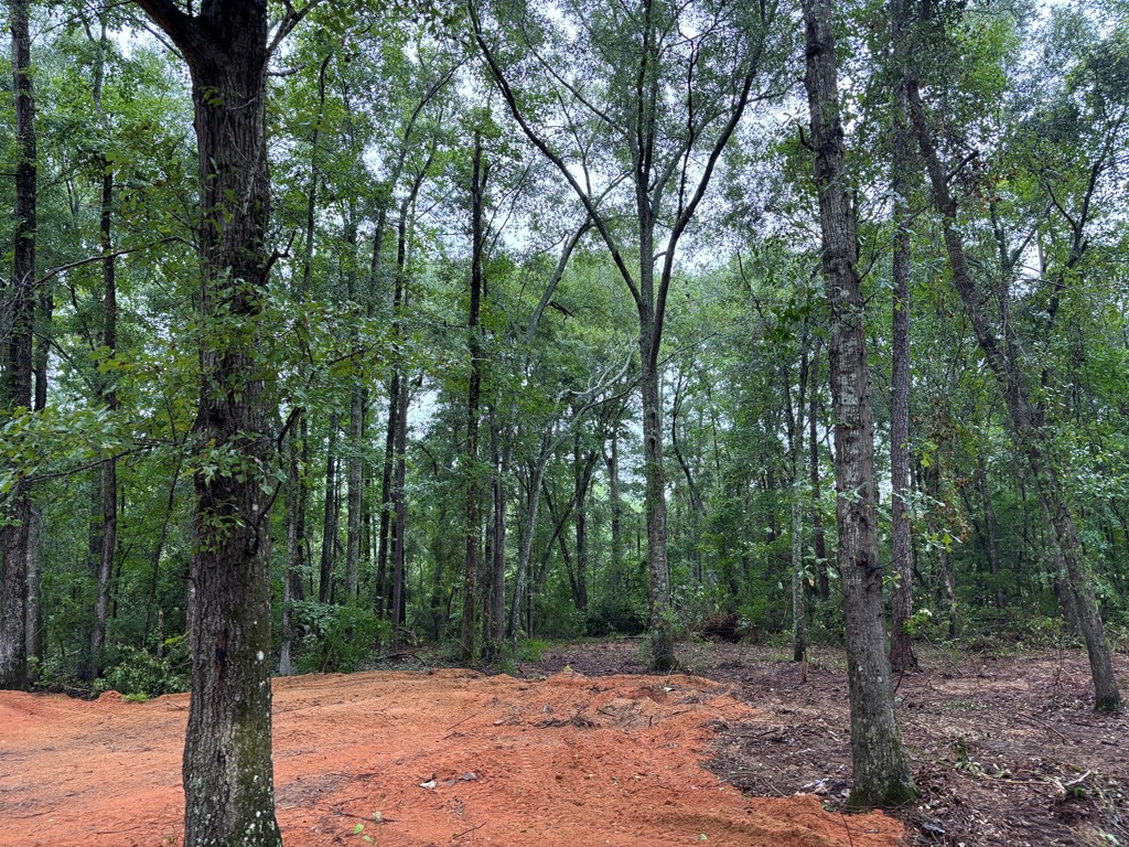 1493 County Road 6600