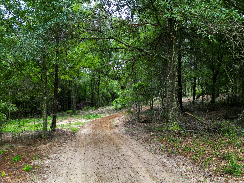 000 Highway 29