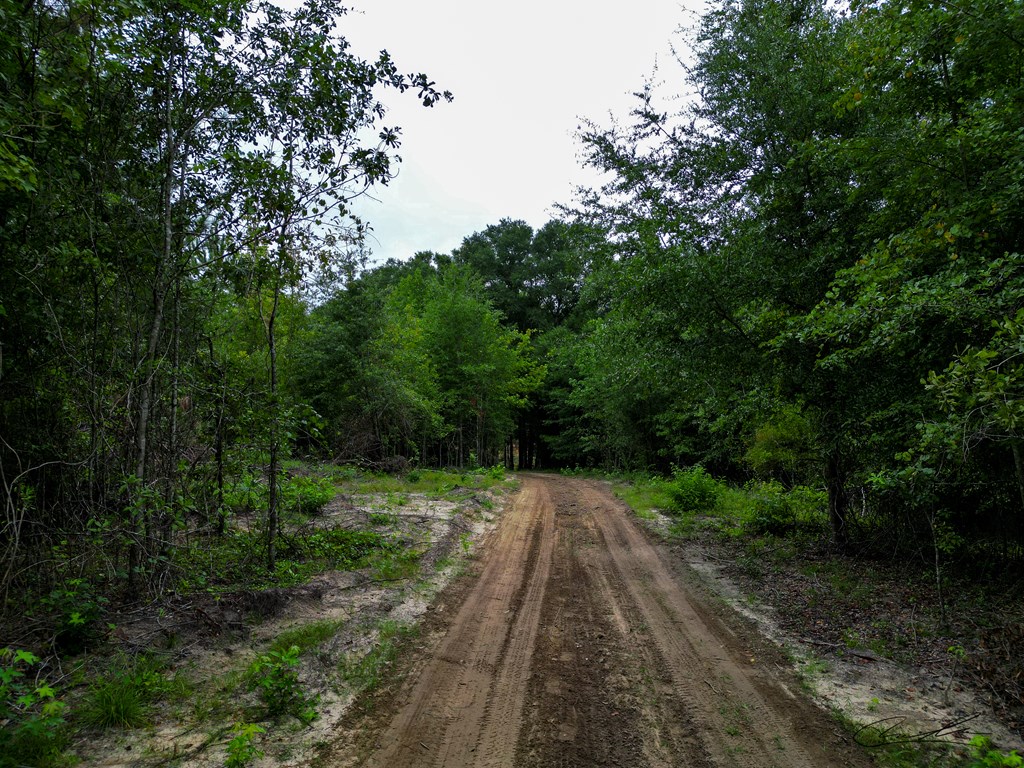 000 Highway 29