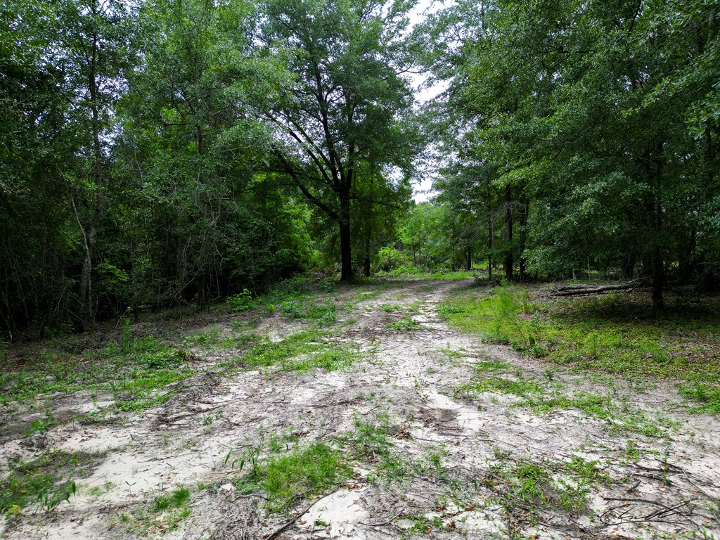 000 Highway 29
