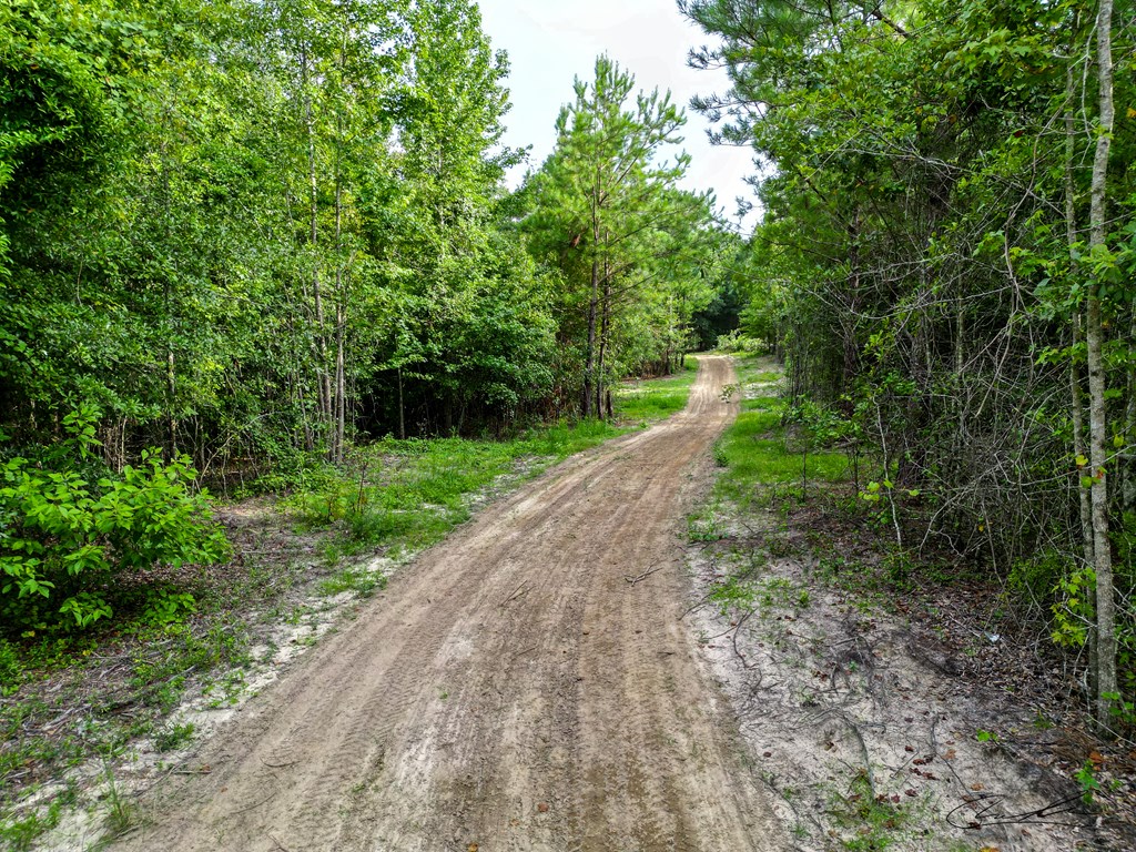 000 Highway 29