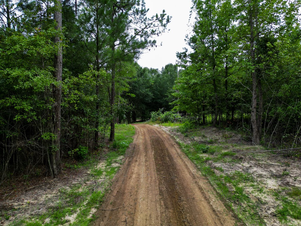 000 Highway 29