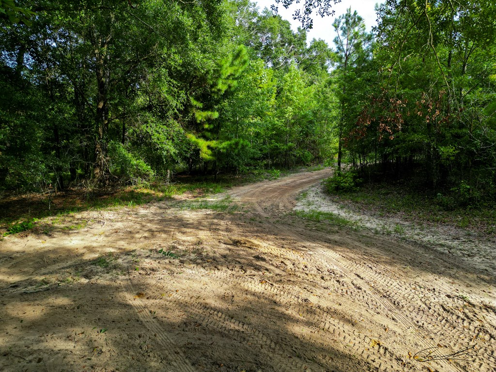 000 Highway 29