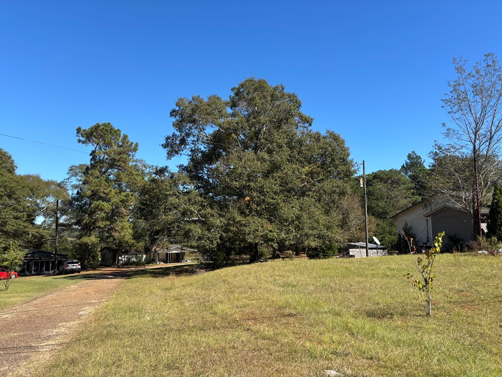 510 Highway 231, Brundidge