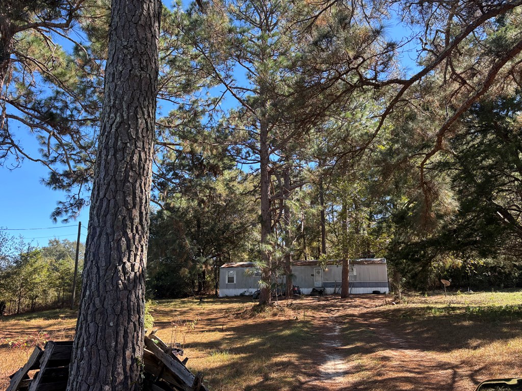 510 Highway 231, Brundidge