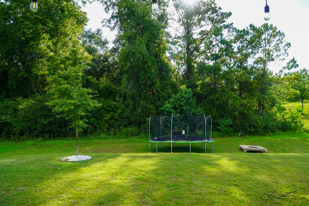 309 Overcup Drive, Troy