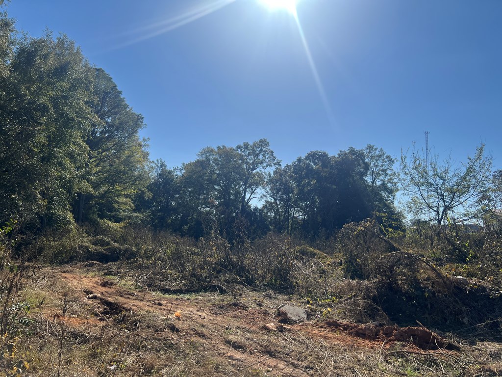 902 South Brundidge Street