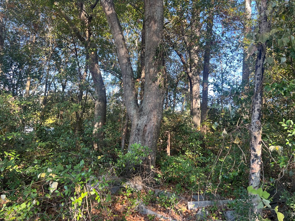 902 South Brundidge Street