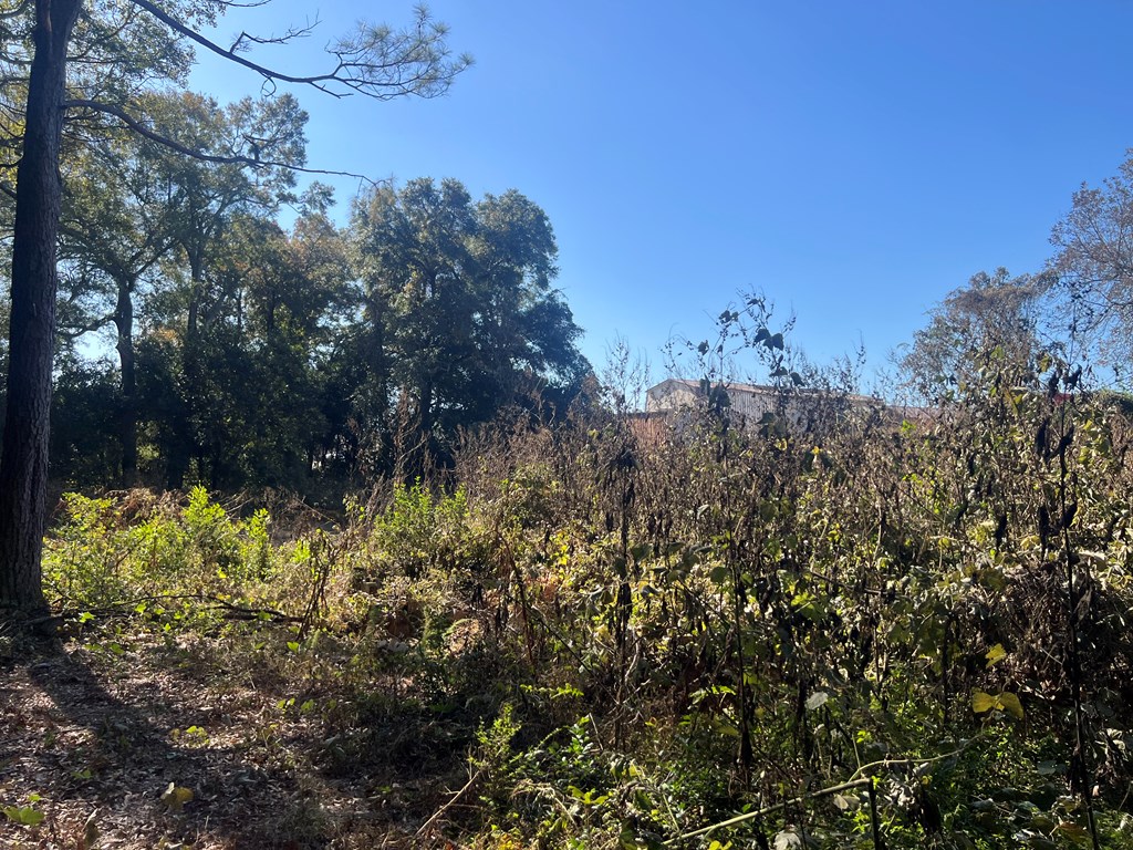 902 South Brundidge Street