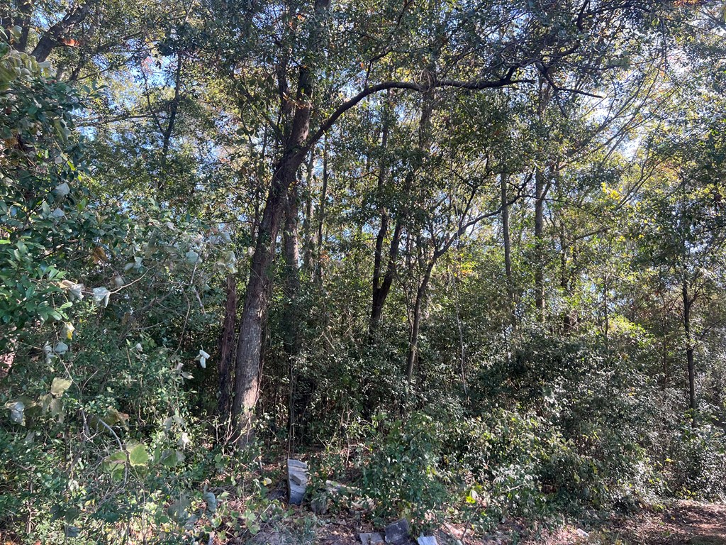 902 South Brundidge Street