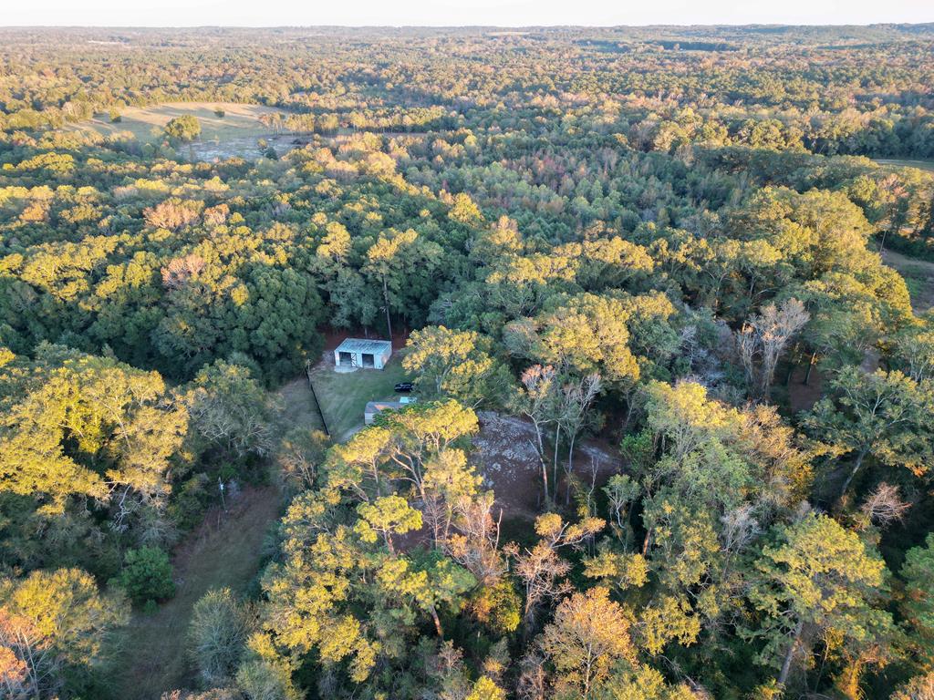 1976 County Road 109