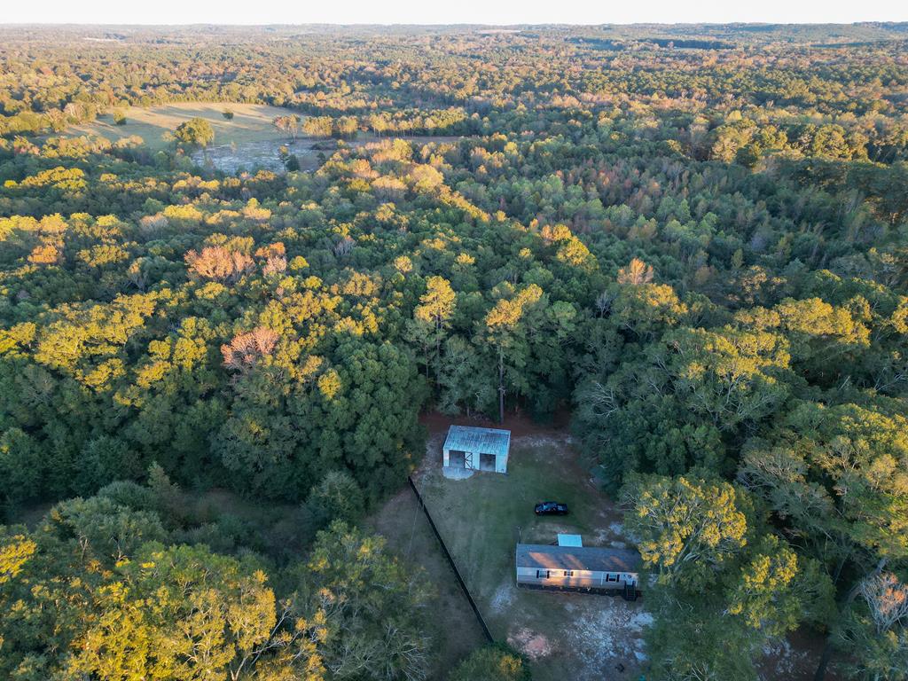 1976 County Road 109