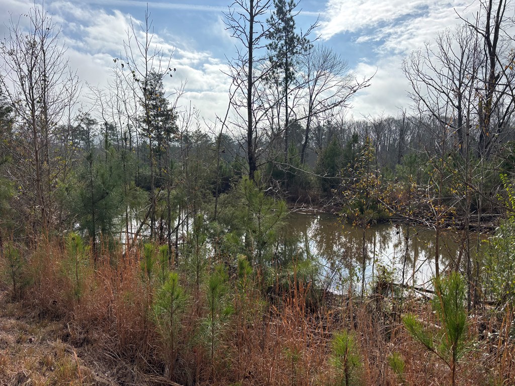 2751 Old U S Hwy 231