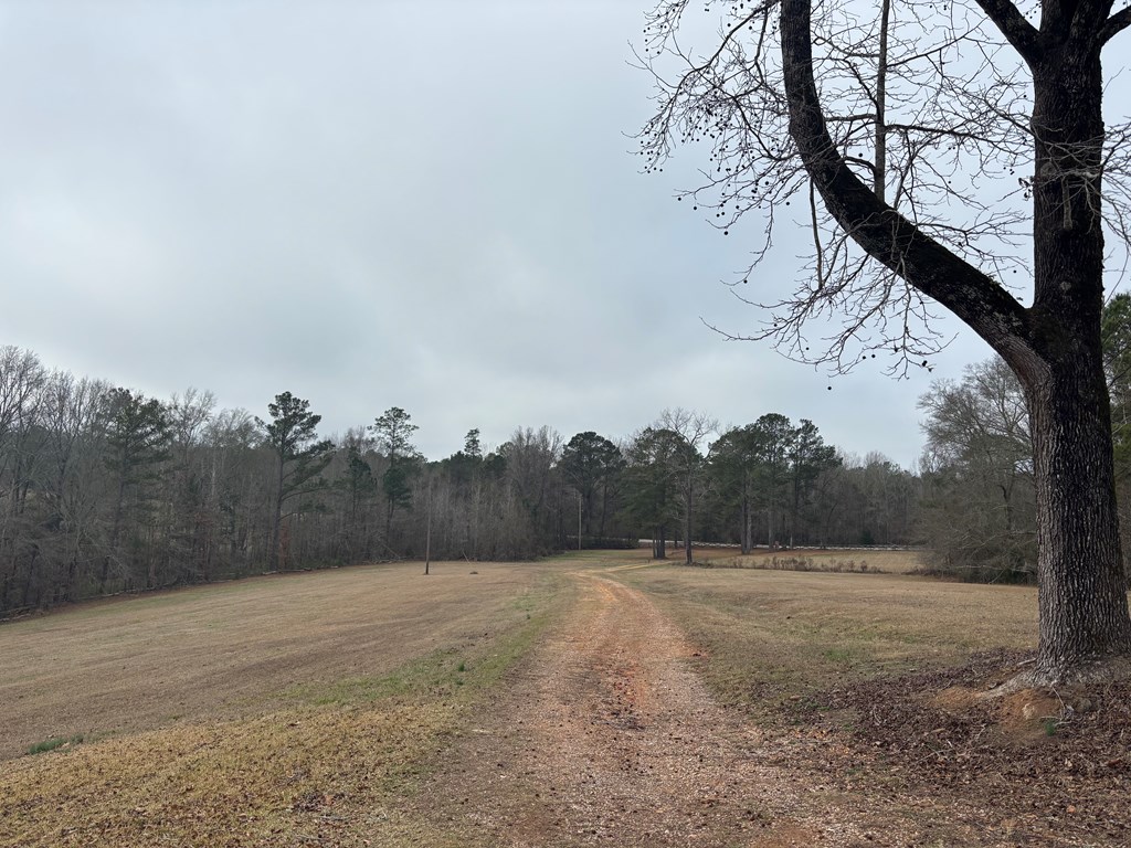 2751 Old U S Hwy 231