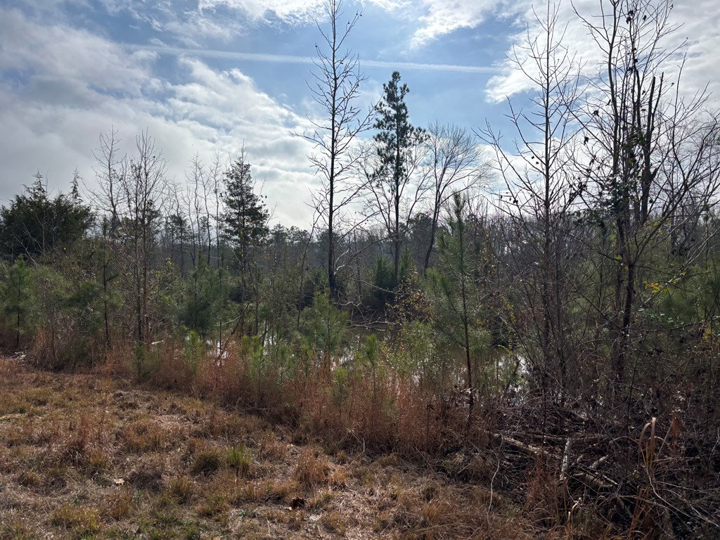 2751 Old U S Hwy 231