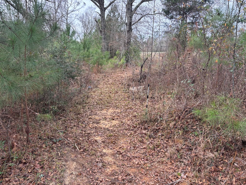 2751 Old U S Hwy 231