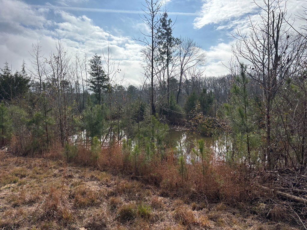 2751 Old U S Hwy 231