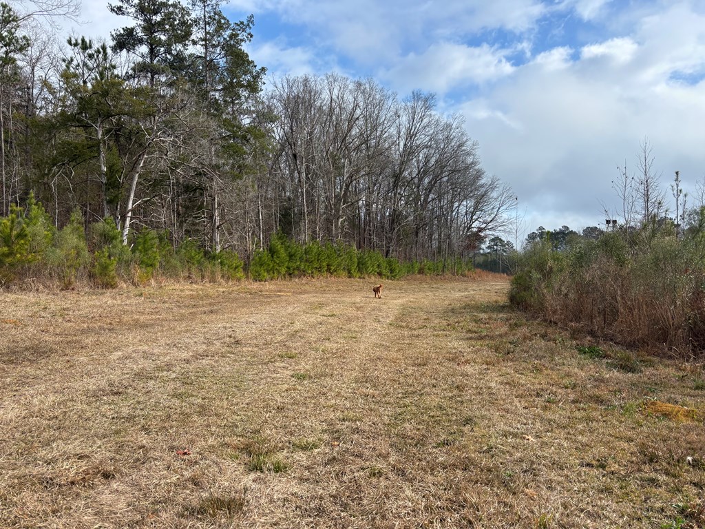 2751 Old U S Hwy 231