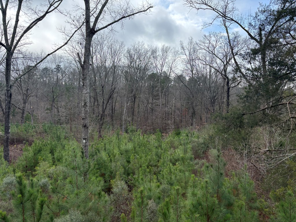 2751 Old U S Hwy 231