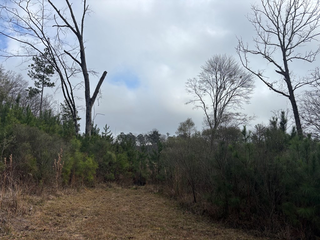 2751 Old U S Hwy 231