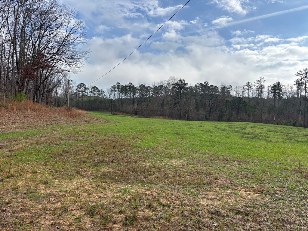 2751 Old U S Hwy 231