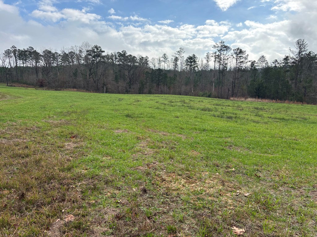 2751 Old U S Hwy 231