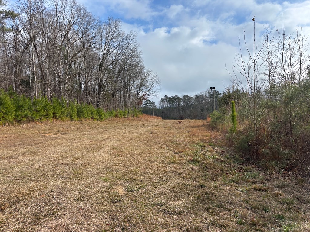 2751 Old U S Hwy 231