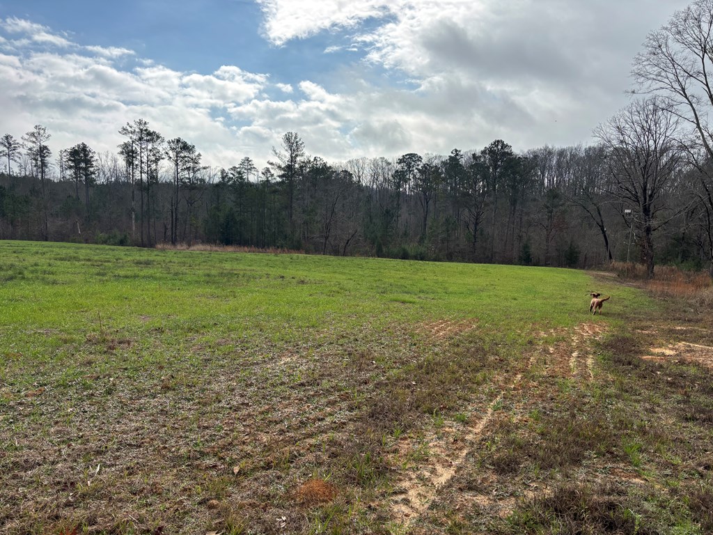 2751 Old U S Hwy 231