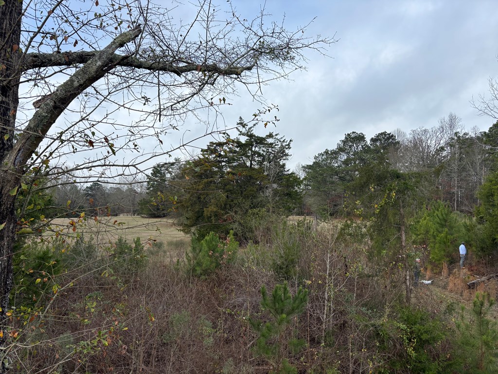 2751 Old U S Hwy 231