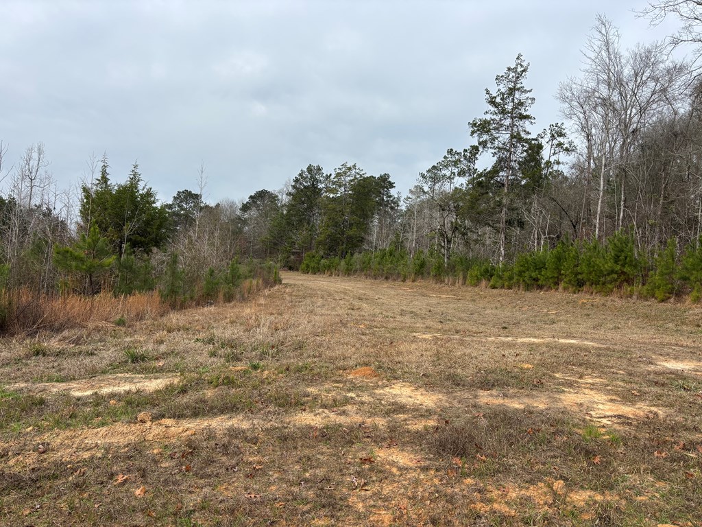 2751 Old U S Hwy 231