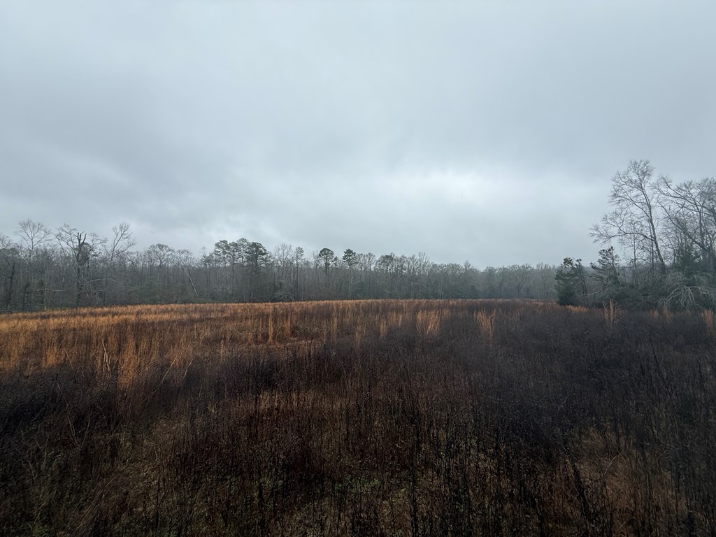 0 County Road 5509