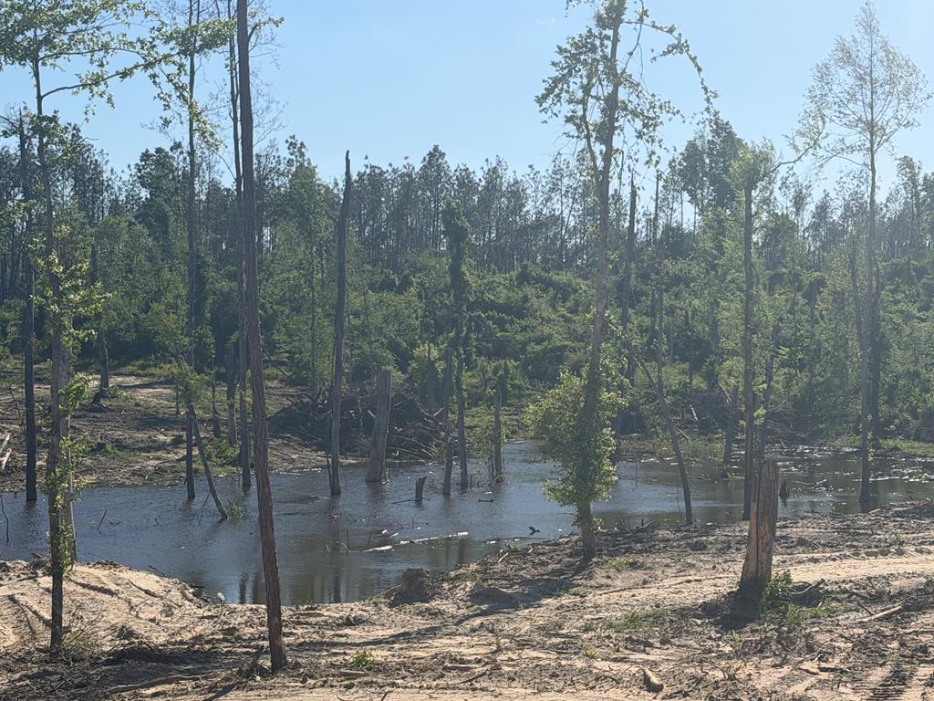 0 County Road 5509