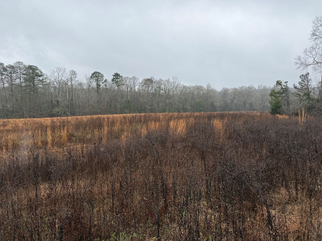 0 County Road 5509