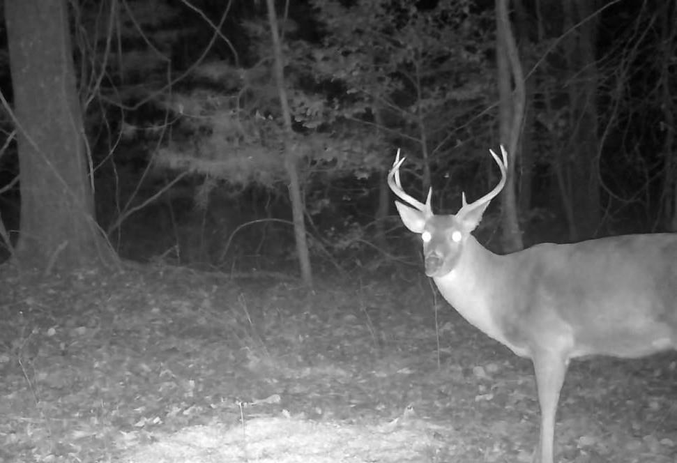 0 County Road 5509