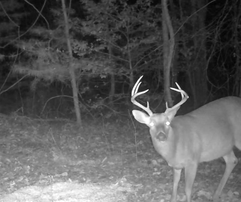 0 County Road 5509
